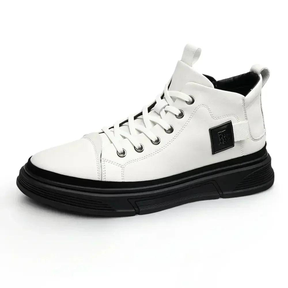 Modell CLI-10