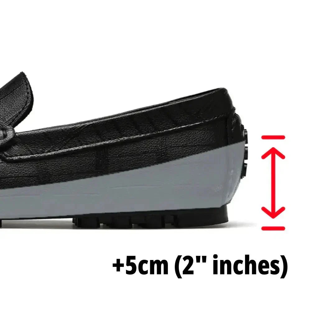 Modell CEL-5