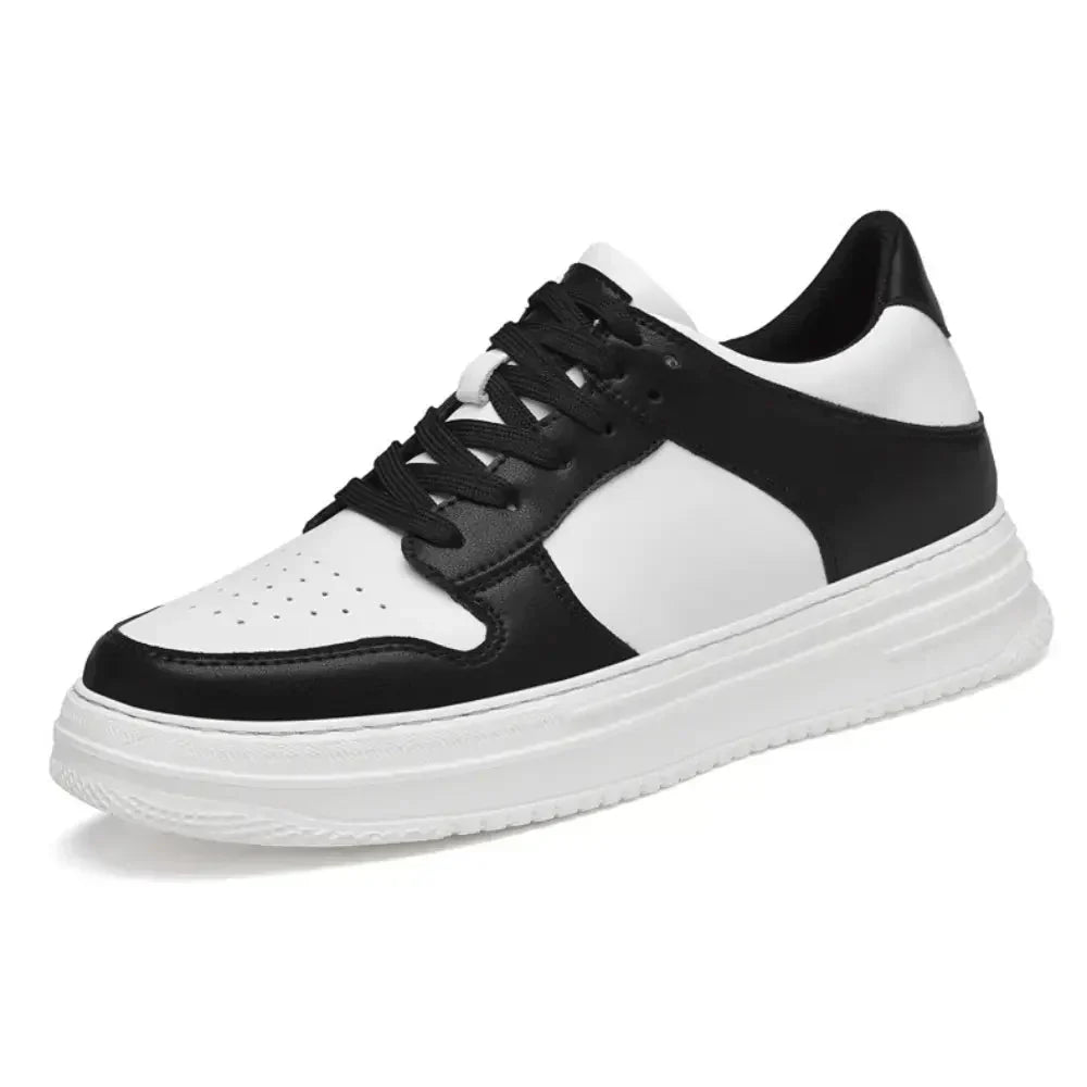 Modell DAX-8