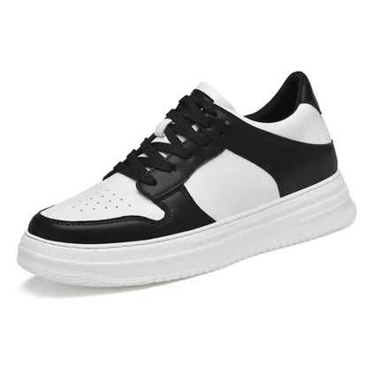 Modell DAX-8
